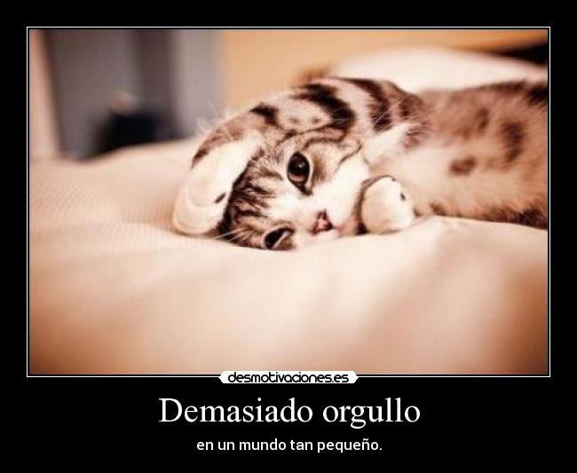 Demasiado orgullo - en un mundo tan pequeño.