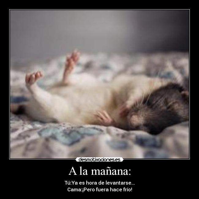 A la mañana: - Tú:Ya es hora de levantarse...
Cama:¡Pero fuera hace frío!