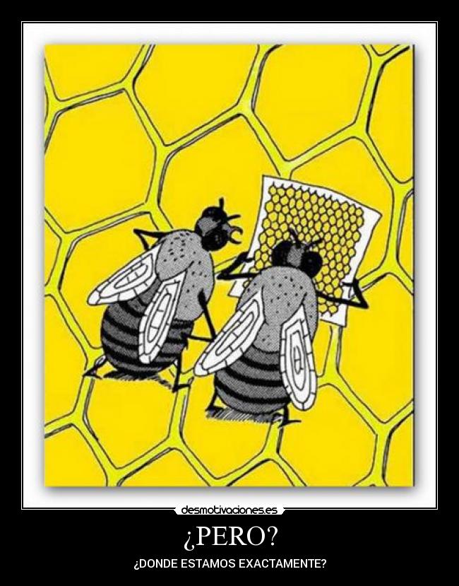 ¿PERO? - ¿DONDE ESTAMOS EXACTAMENTE?