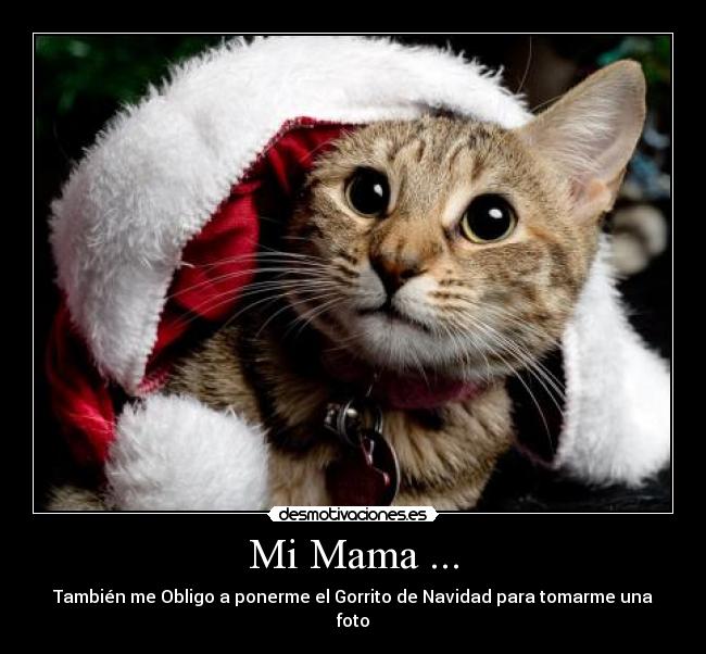 Mi Mama ... - También me Obligo a ponerme el Gorrito de Navidad para tomarme una foto
