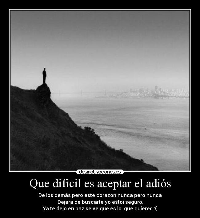 carteles adios pecesillo desmotivaciones