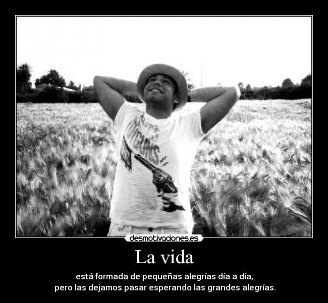 La vida - 