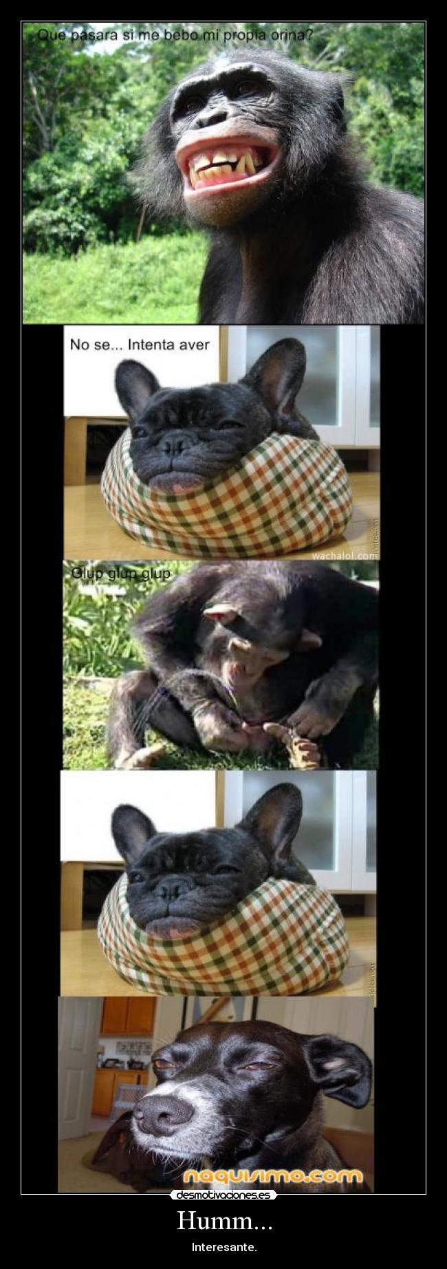 Humm... - Interesante.