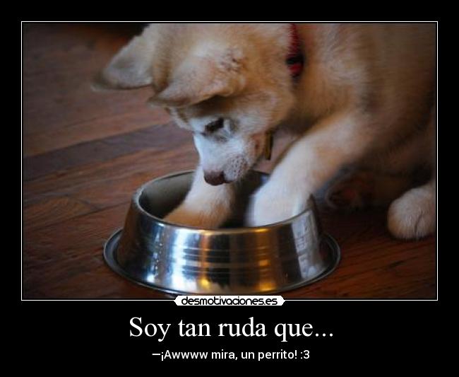 Soy tan ruda que... -