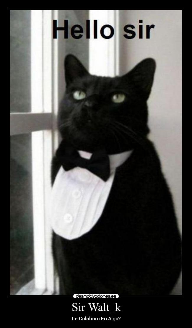Sir Walt_k - Le Colaboro En Algo?