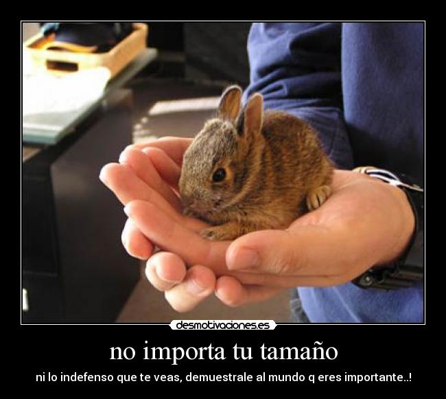 carteles importa tanano desmotivaciones