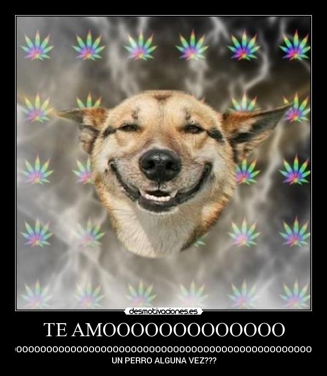 TE AMOOOOOOOOOOOOO -