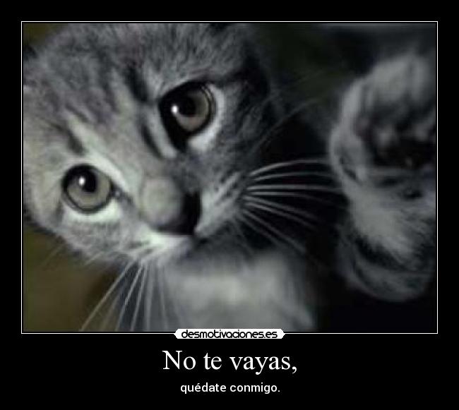 carteles quedate desmotivaciones