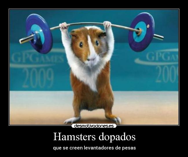Hamsters dopados -