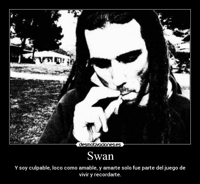 Swan - Y soy culpable, loco como amable, y amarte solo fue parte del juego de
vivir y recordarte.