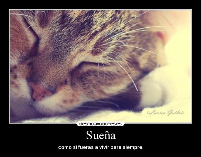 Sueña - como si fueras a vivir para siempre.