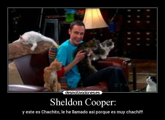 Sheldon Cooper: -