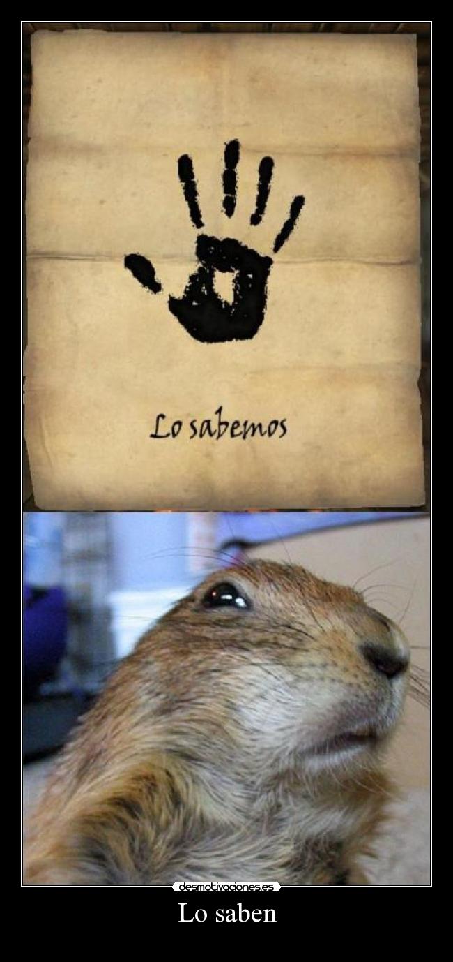 carteles las ardillas molan desmotivaciones