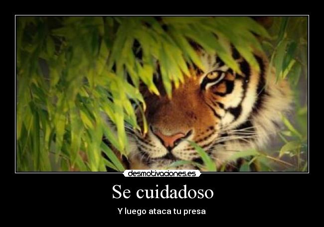 Se cuidadoso - Y luego ataca tu presa