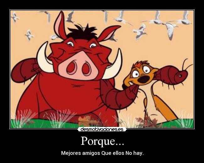 Porque... -