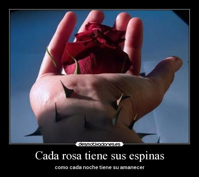 Cada rosa tiene sus espinas - como cada noche tiene su amanecer