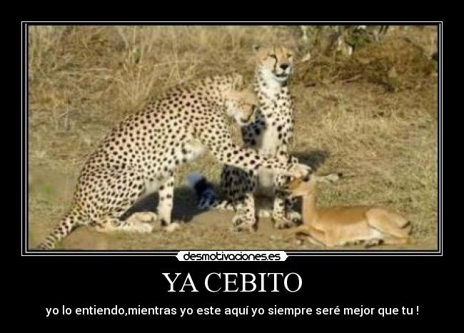 YA CEBITO -