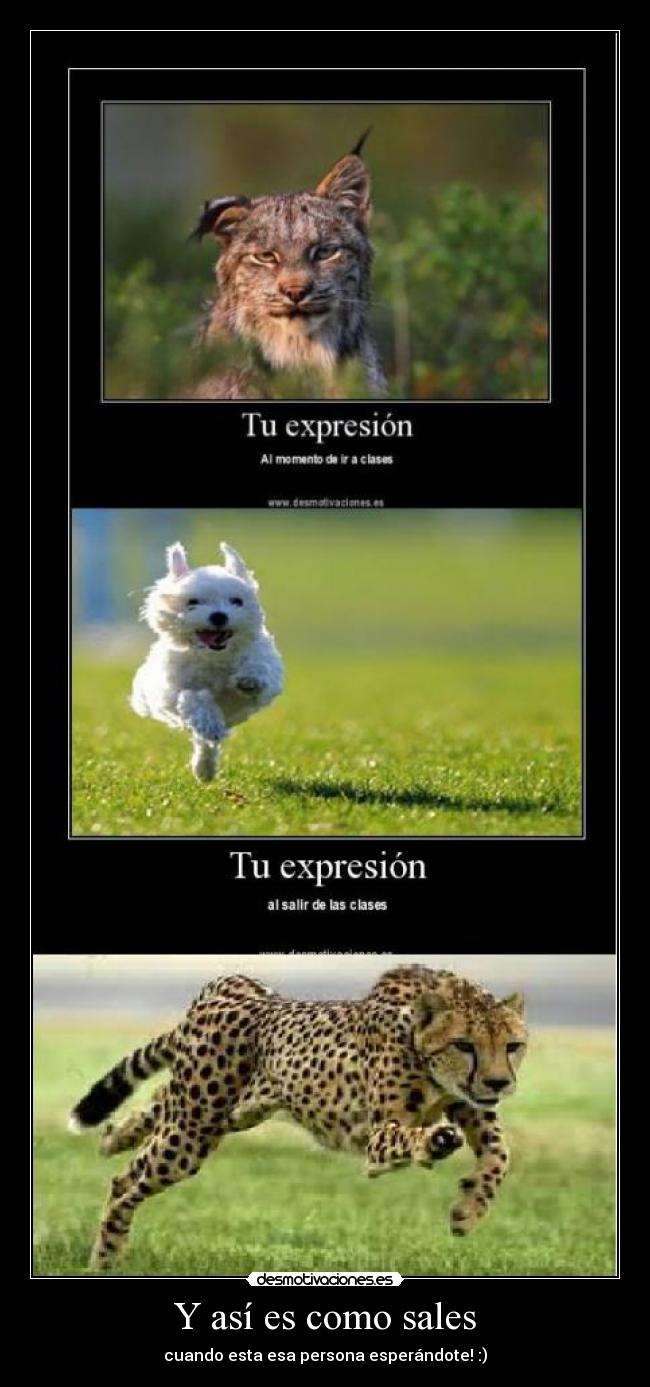 Y así es como sales - cuando esta esa persona esperándote! :)