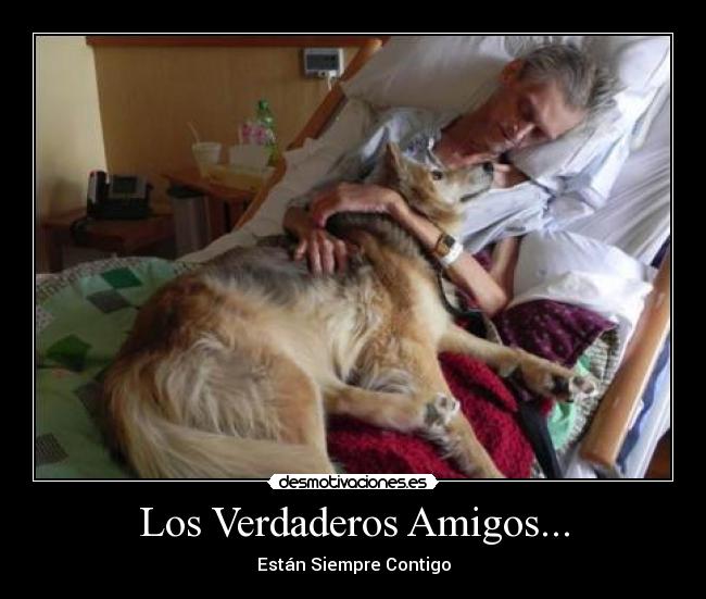 Los Verdaderos Amigos... - Están Siempre Contigo