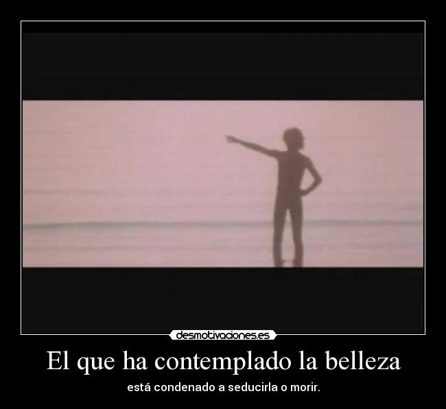 El que ha contemplado la belleza - 