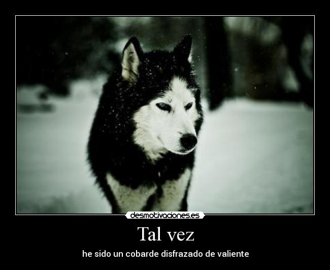 Tal vez - 