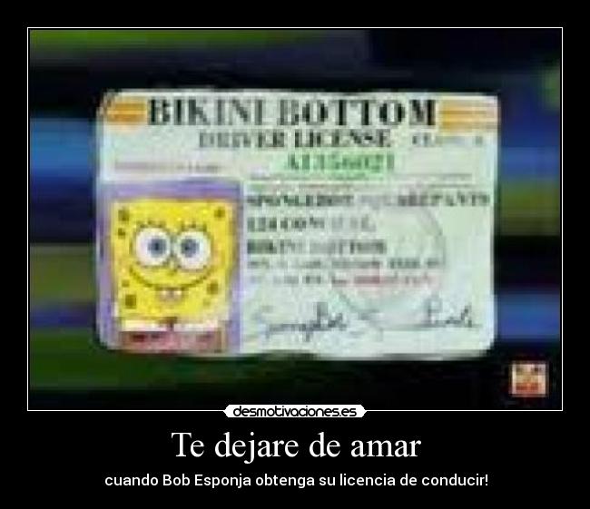 Te dejare de amar - cuando Bob Esponja obtenga su licencia de conducir!
