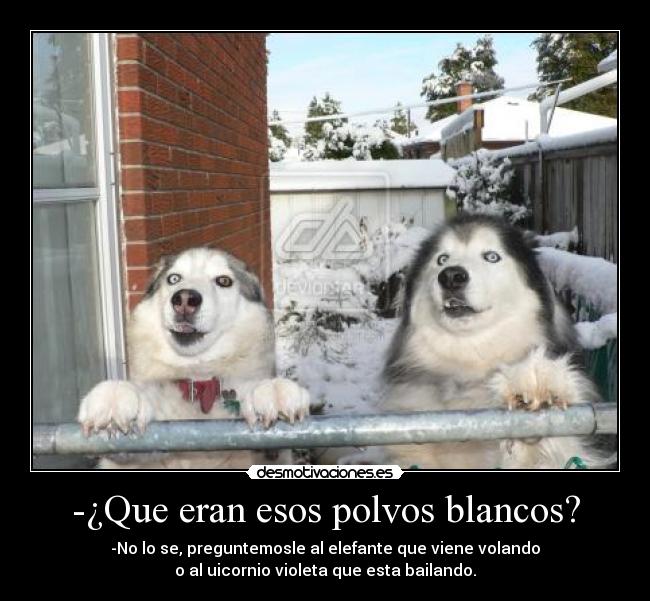 carteles lrc1894 extracto amapola sintetizado quimicamente desmotivaciones