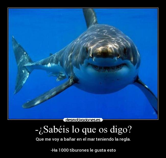 -¿Sabéis lo que os digo? - Que me voy a bañar en el mar teniendo la regla.
-Ha 1000 tiburones le gusta esto