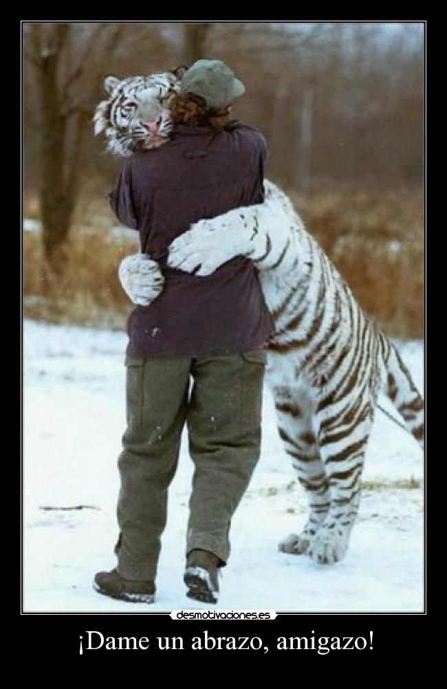 ¡Dame un abrazo, amigazo! -