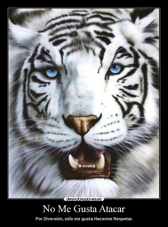 carteles respeto valentia coraje fortaleza tigre caracter confianza personalidad verdad orgullo desmotivaciones