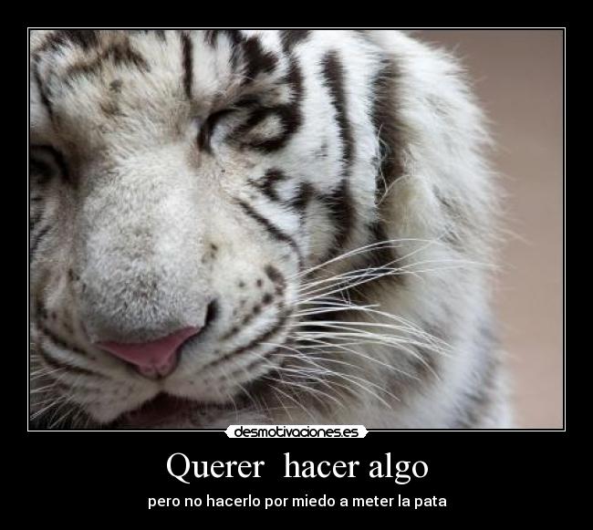 Querer hacer algo -