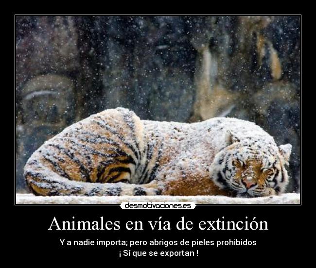 carteles animales animales via extincion ironia jimenezhope desmotivaciones
