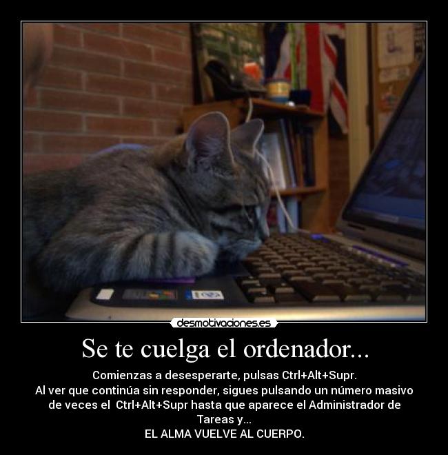 Se te cuelga el ordenador... - Comienzas a desesperarte, pulsas Ctrl+Alt+Supr.
Al ver que continúa sin responder, sigues pulsando un número masivo
de veces el  Ctrl+Alt+Supr hasta que aparece el Administrador de
Tareas y...
EL ALMA VUELVE AL CUERPO.