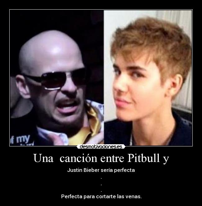 Una canción entre Pitbull y -