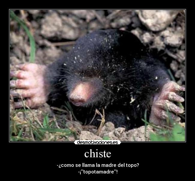 chiste -