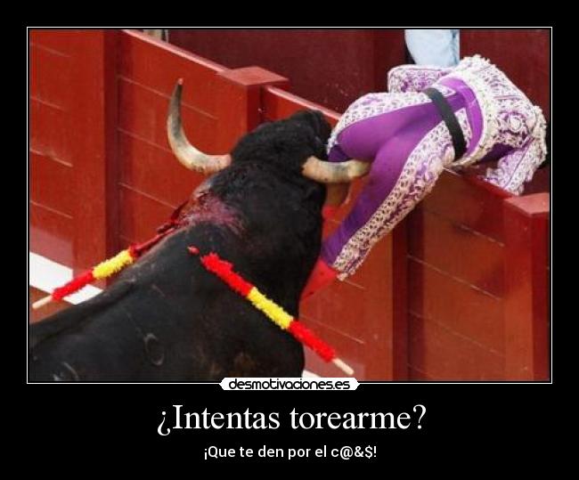 ¿Intentas torearme? - 