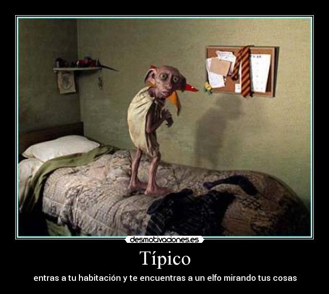 Típico - entras a tu habitación y te encuentras a un elfo mirando tus cosas