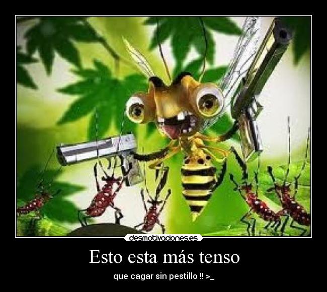 Esto esta más tenso - 