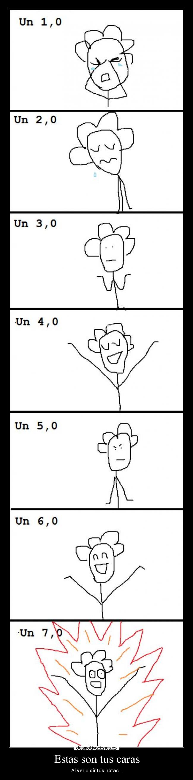 Estas son tus caras -