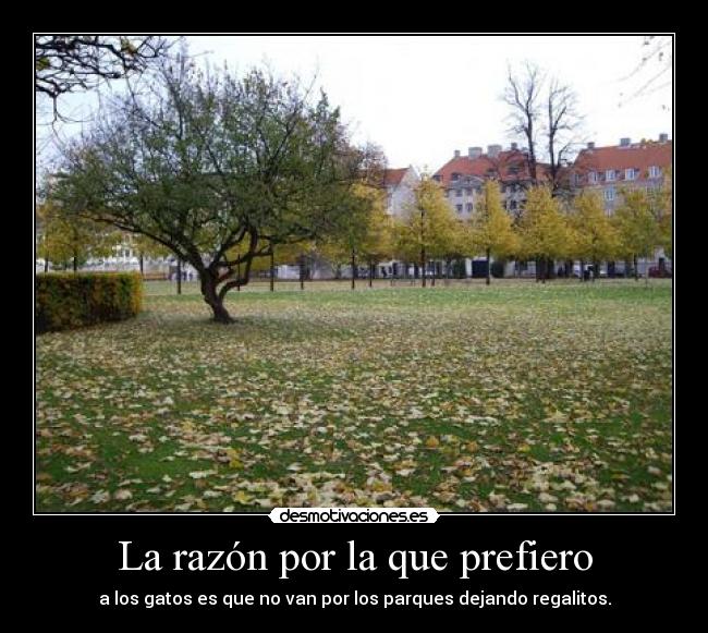 La razón por la que prefiero - a los gatos es que no van por los parques dejando regalitos.