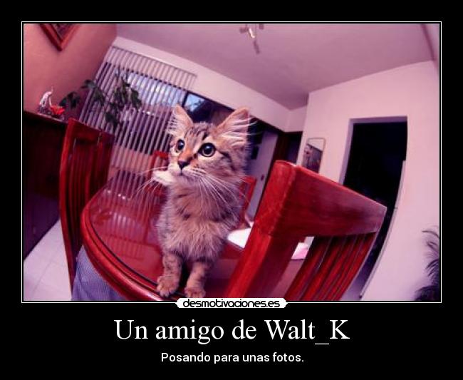 Un amigo de Walt_K - Posando para unas fotos.