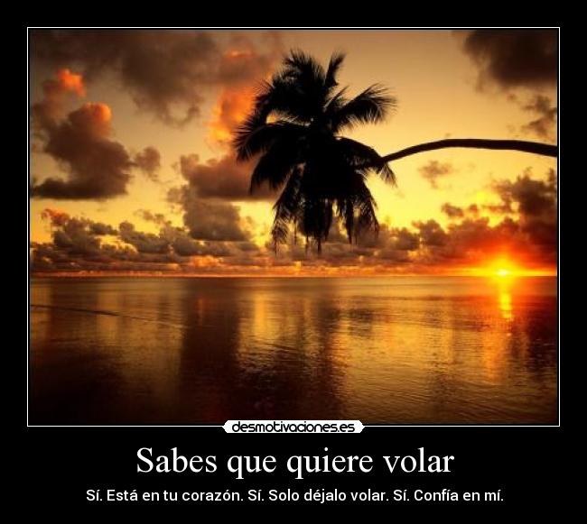 Sabes que quiere volar - Sí. Está en tu corazón. Sí. Solo déjalo volar. Sí. Confía en mí.