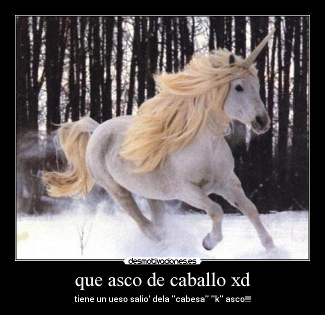 que asco de caballo xd - 