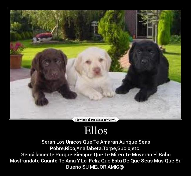 Ellos -