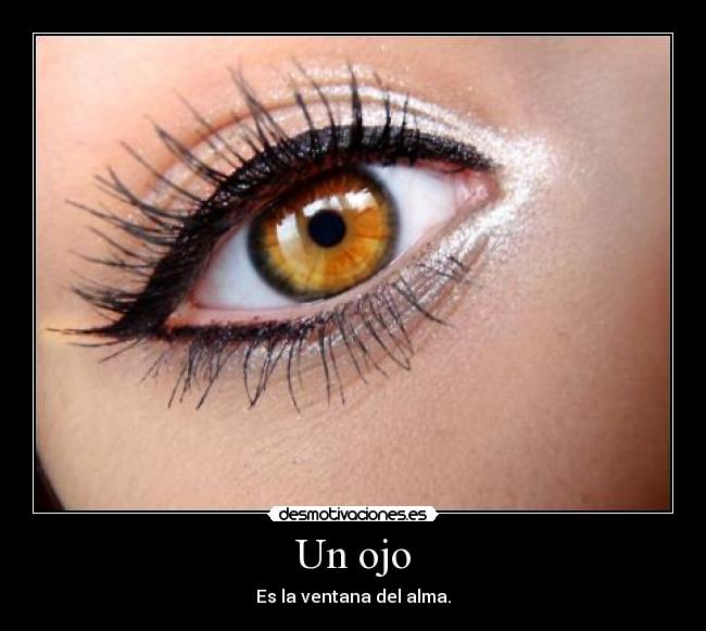Un ojo - Es la ventana del alma.