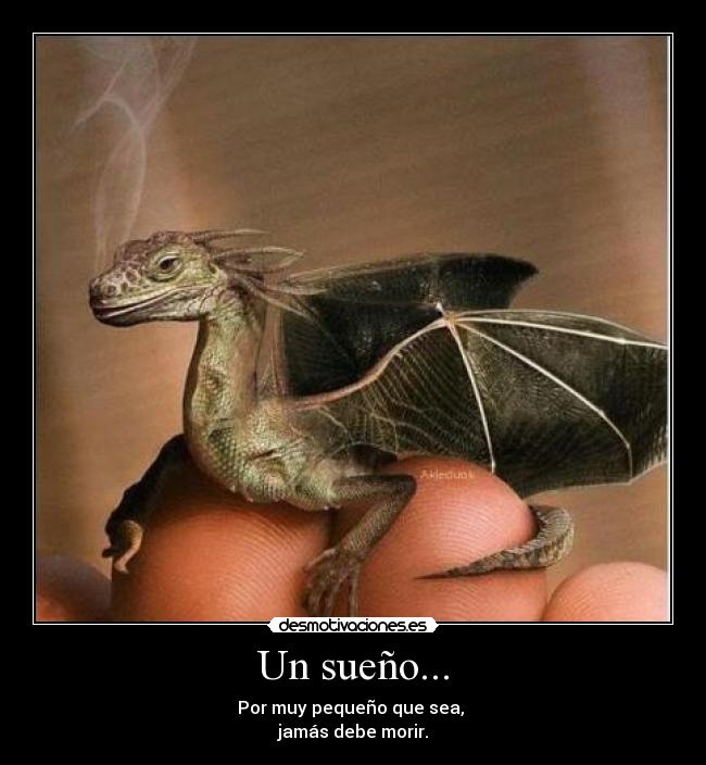 Un sueño... -