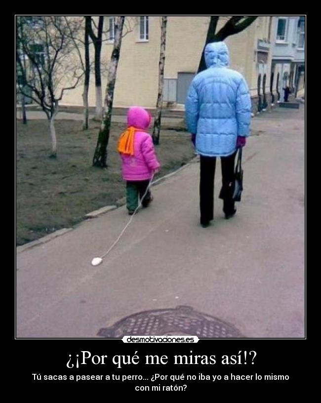 ¿¡Por qué me miras así!? - Tú sacas a pasear a tu perro... ¿Por qué no iba yo a hacer lo mismo con mi ratón?
