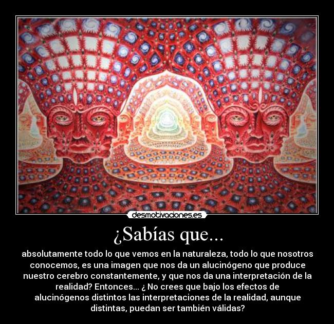 ¿Sabías que... - absolutamente todo lo que vemos en la naturaleza, todo lo que nosotros
conocemos, es una imagen que nos da un alucinógeno que produce
nuestro cerebro constantemente, y que nos da una interpretación de la
realidad? Entonces... ¿ No crees que bajo los efectos de
alucinógenos distintos las interpretaciones de la realidad, aunque
distintas, puedan ser también válidas?