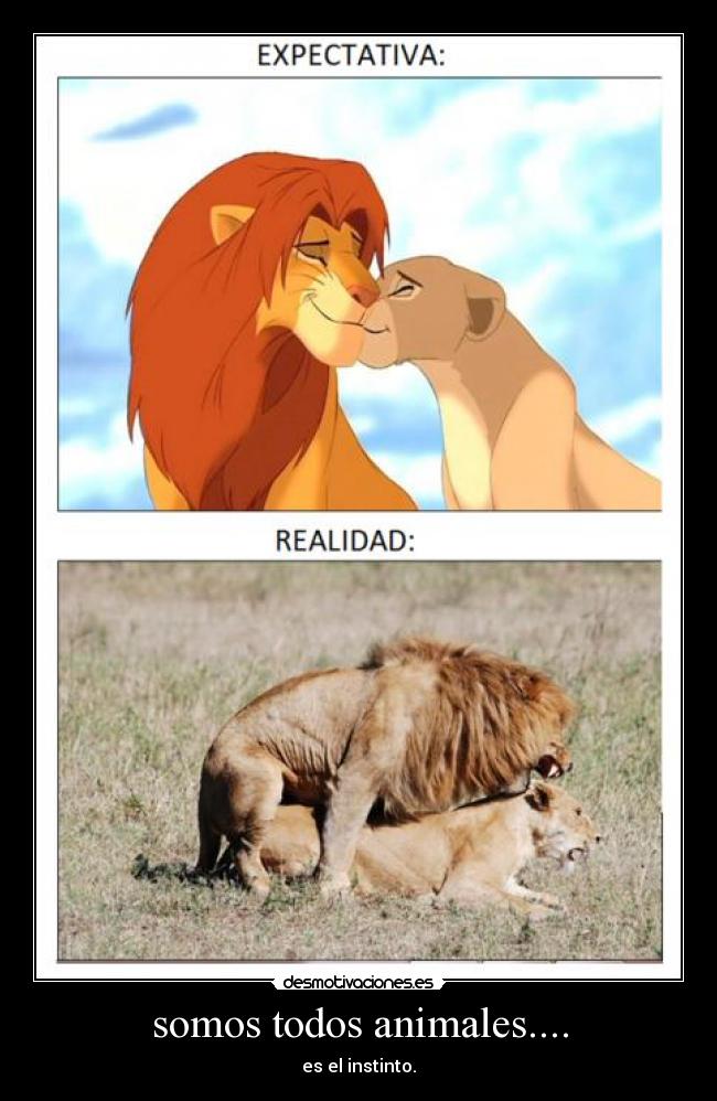 somos todos animales.... -