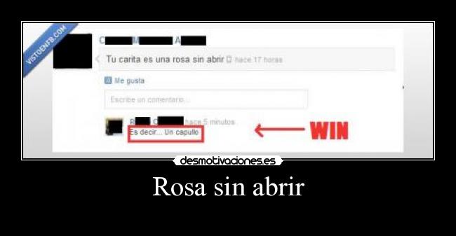 Rosa sin abrir -